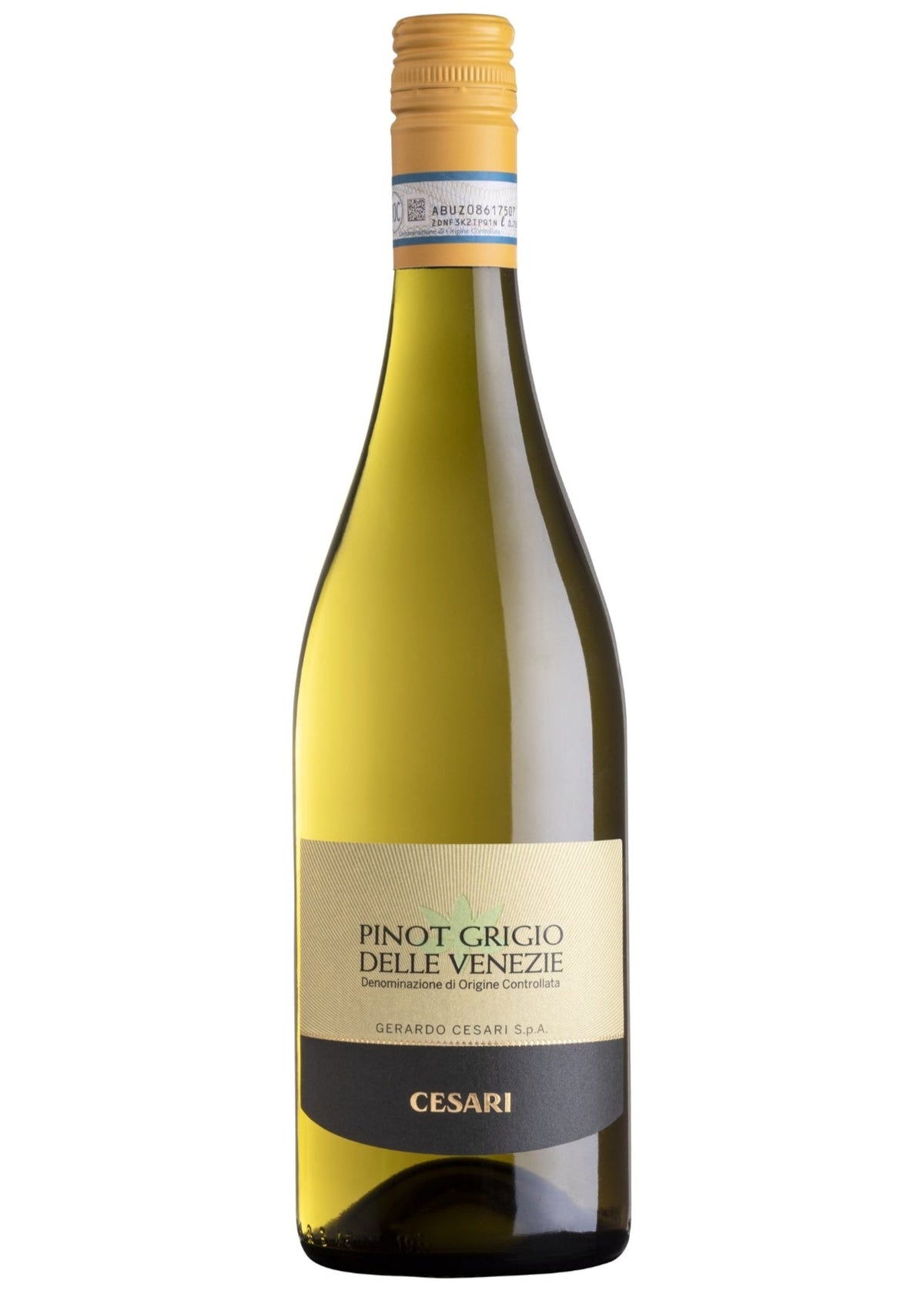 2024 Cesari Pinot Grigio delle Venezie - Sante.is (14911959236977)