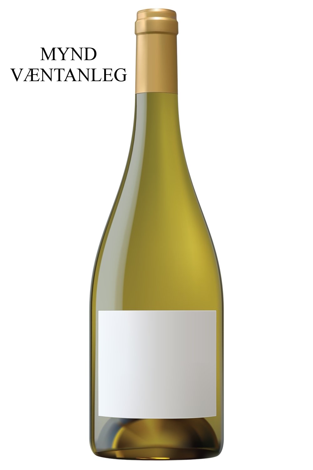 2020 Camille Giroud Puligny-Montrachet 1er Cru Les Referts - Sante.is (6946478882881)