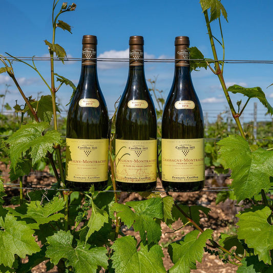 Puligny Montrachet - Aristókratískt vínþorp - Sante.is