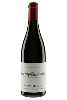 2023 Arnaud Baillot Gevrey - Chambertin - Sante.is