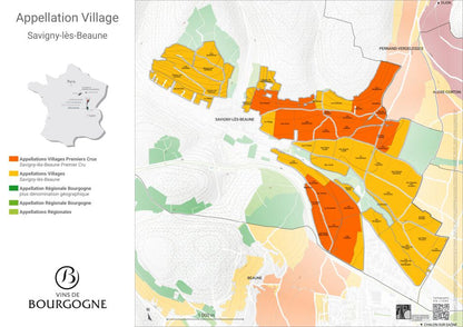 2023 Arnaud Baillot Savigny - Les - Beaune - Sante.is