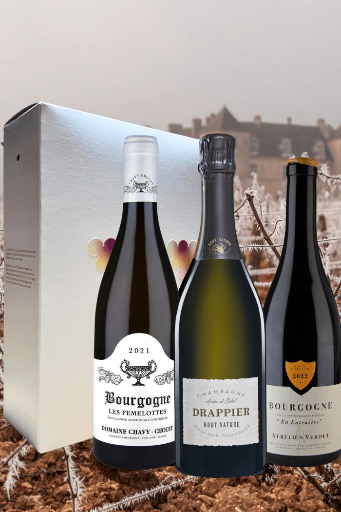 Santé 101 í gjafaöskju