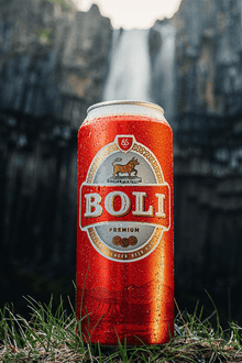 Boli / 12 ofurdósir í rútu - Sante.is