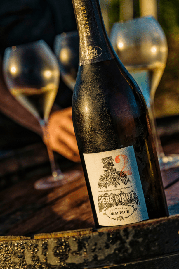 Drappier Pére Pinot - Sante.is