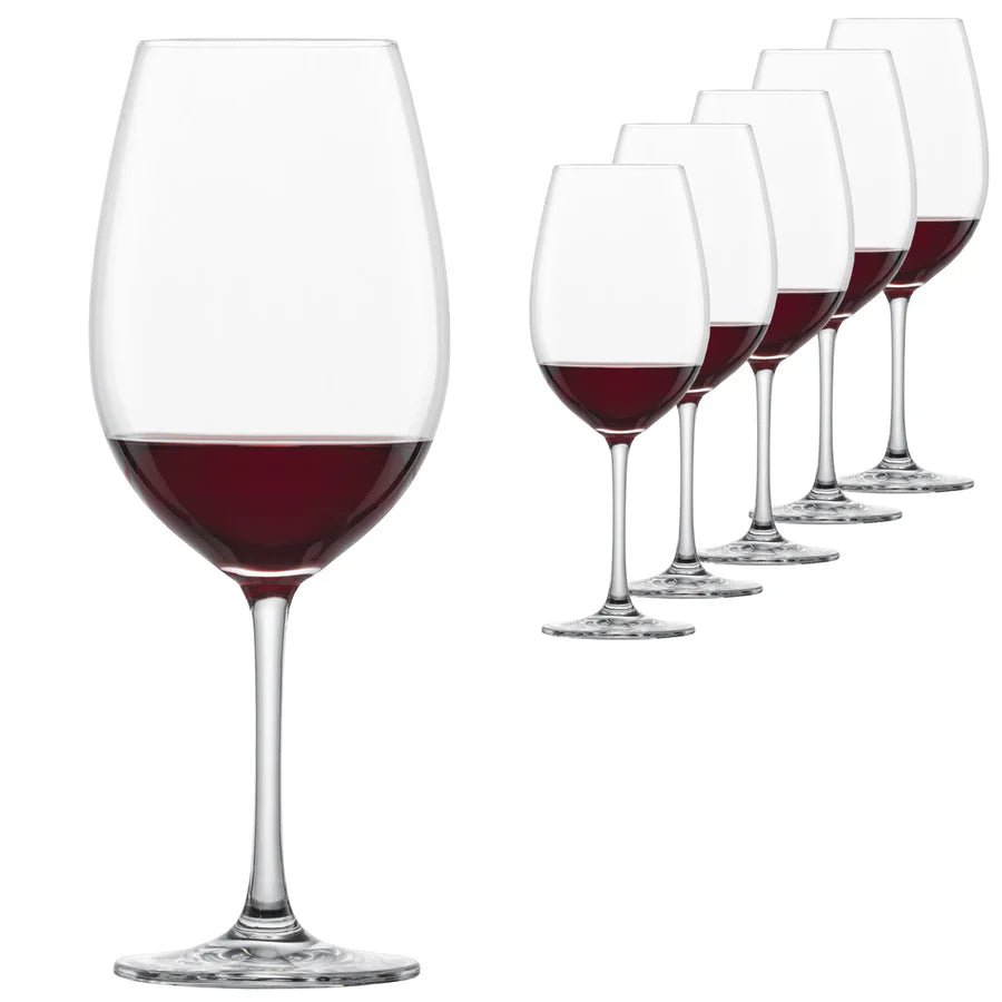 Schott Zwiesel Invento Rauð - og Hvítvínsglas - 6stk í pakka - Sante.is (14935168942449)