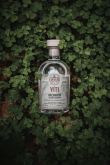 Víti Icelandic Small Batch Brennivín - Sante.is
