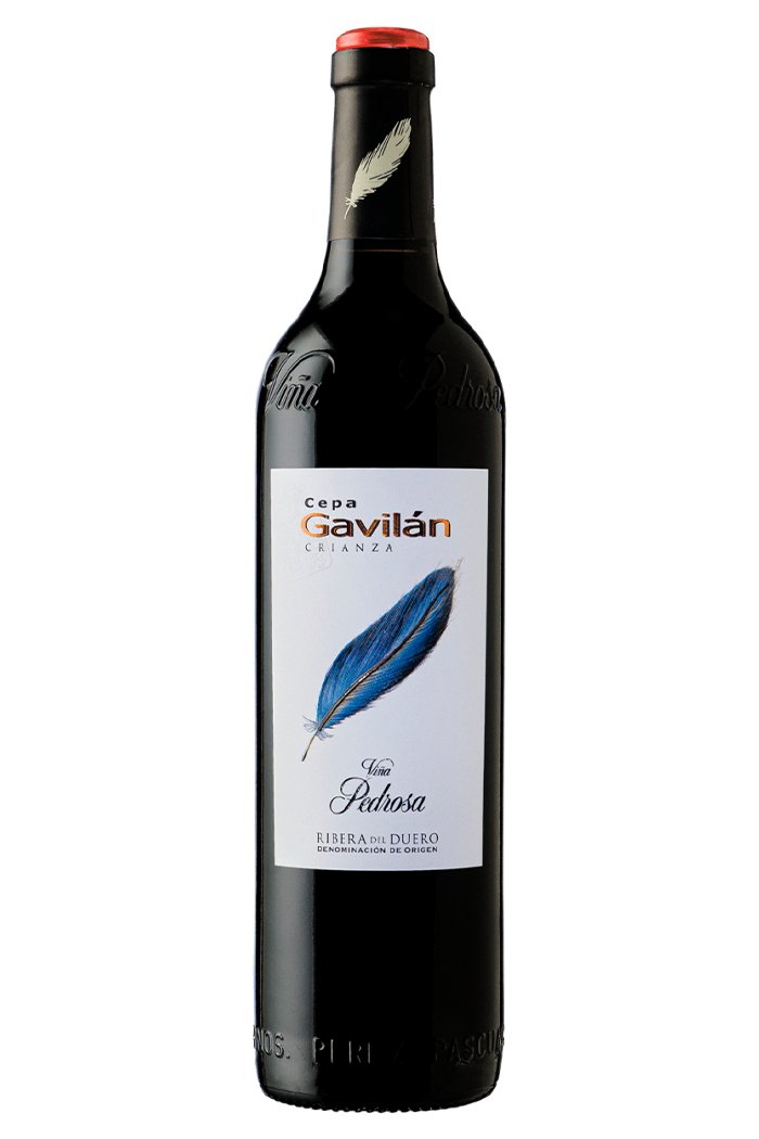 2015 Cepa Gavilan Magnum - 1,5 lítra flaska - Sante.is (7047811465281)