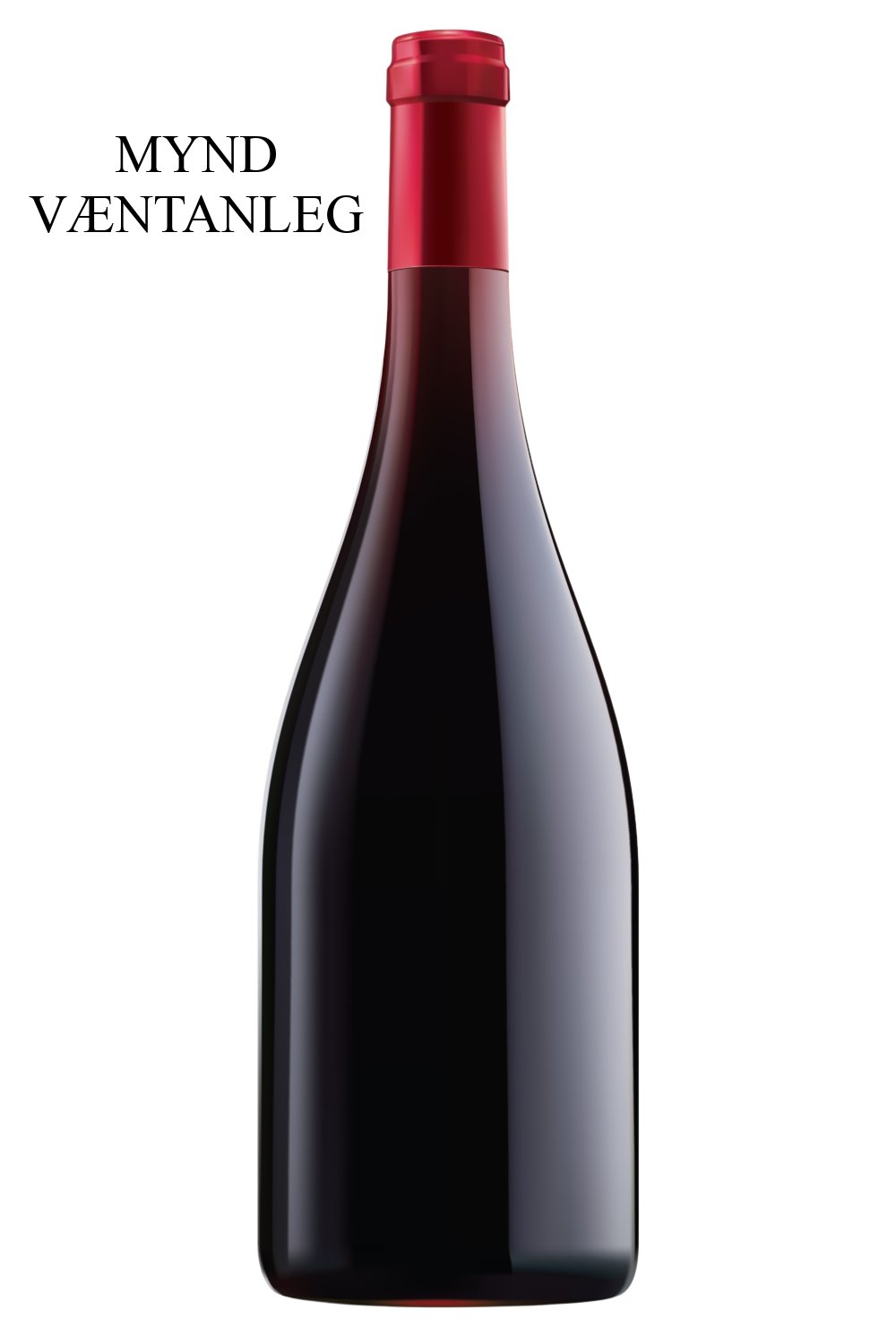 2021 Georges Noëllat Nuits-Saint-Georges 1er Cru Aux Vignes Rondes - Sante.is (7040023396417)